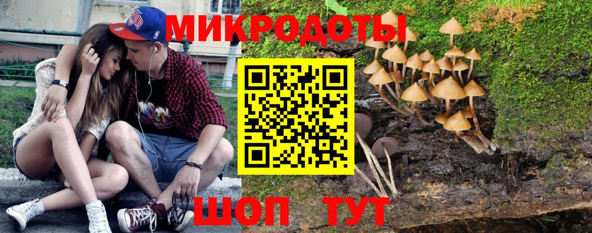 Псилоцибиновые грибы Psilocybine cubensis Новый Уренгой