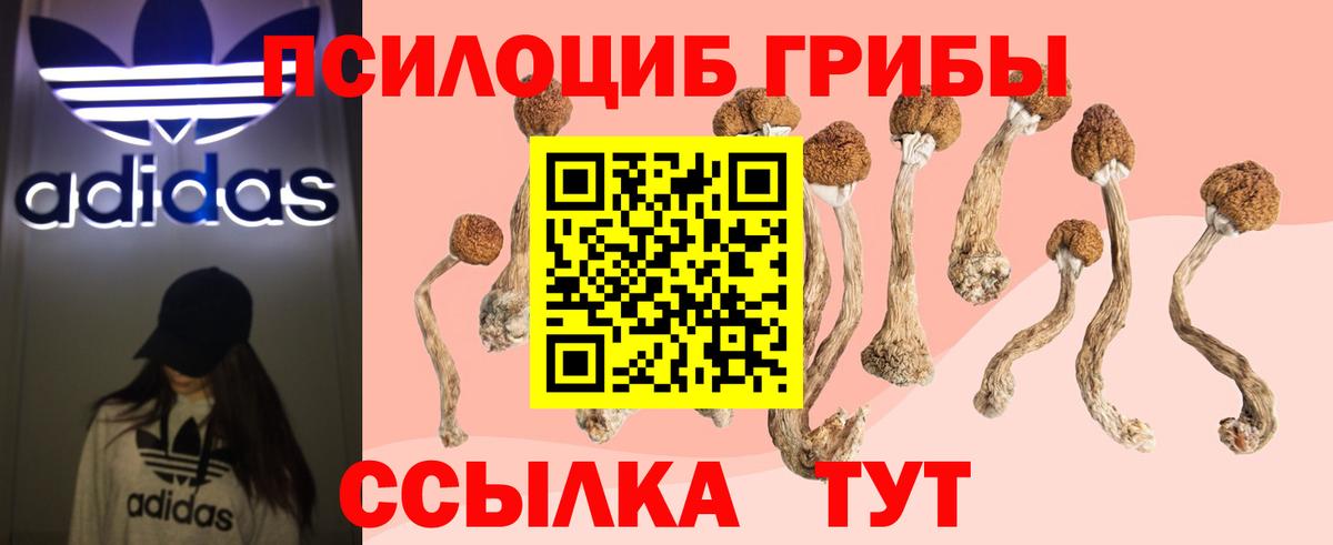 Псилоцибиновые грибы GOLDEN TEACHER  Вход с VPN  Псилоцибиновые грибы мухоморы  Новый Уренгой 